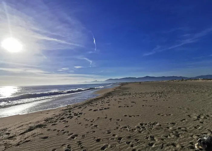 Appartement Climatise Vue Mer 208